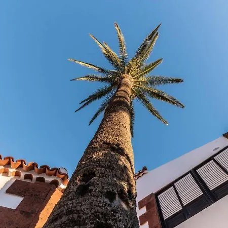 Casa Niebla - Zona Rural - *
